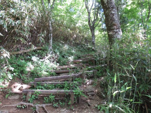 登山道